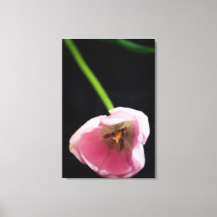 Tulpen 3272 canvas afdruk