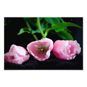 Tulpen 3273 foto afdruk