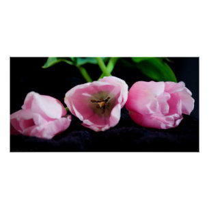 Tulpen 3273 perfect poster