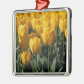 Tulpen 3 metalen ornament (Links)
