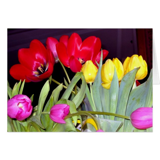 Tulpen 3color (Voorkant Horizontaal)