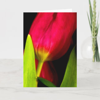 Tulpen Bedankkaart