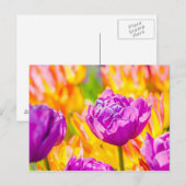Tulpen Betoverend 12 Briefkaart (Voorkant / Achterkant)