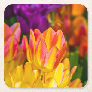 Tulpen Betoverend 16 Vierkante Kartonnen Onderzetter