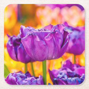 Tulpen Betoverend Paars Vierkante Kartonnen Onderzetter