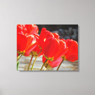Tulpen Bloem kunstprint canvas Rode Tulp Bloemen Afdruk