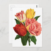 Tulpen bloesems wijnstokken mooie bloemen briefkaart (Voorkant / Achterkant)