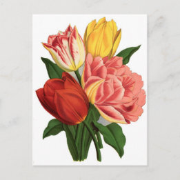 Tulpen bloesems  wijnstokken mooie bloemen briefkaart