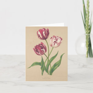 Tulpen botanische kunst bedankkaart