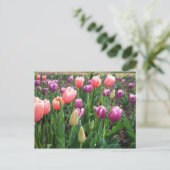 Tulpen Briefkaart (Staand voorkant)