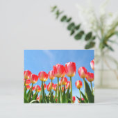 Tulpen Briefkaart (Staand voorkant)