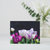 Tulpen Briefkaart van fijne grootte (Staand voorkant)