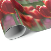 Tulpen Cadeaupapier (Rol Hoek)