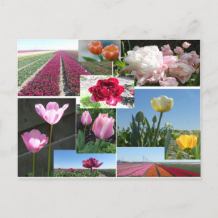 Tulpen Collage DIY Briefkaart