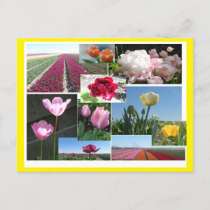 Tulpen Collage DIY & Cust. Randkleur-Briefkaart Feestdagenkaart