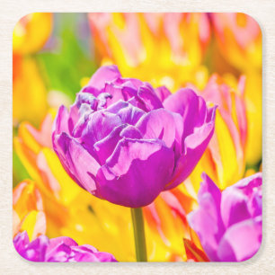 Tulpen die 12 kantelen vierkante kartonnen onderzetter