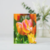 Tulpen die 17 kantelen briefkaart (Staand voorkant)