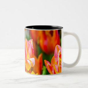 Tulpen die 17 kantelen tweekleurige koffiemok