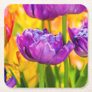 Tulpen die diepe roze aftappen vierkante kartonnen onderzetter