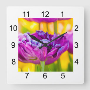 Tulpen die donkerroze aftappen vierkante klok