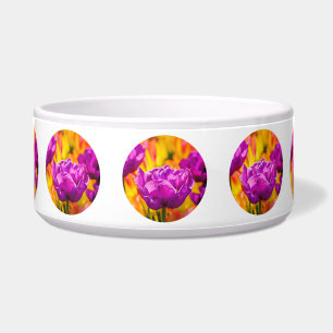 Tulpen die geweld betoveren voerbakje