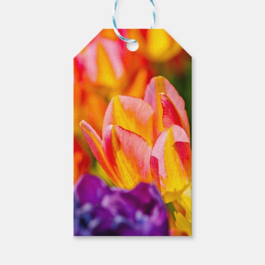 Tulpen die kantelen cadeaulabel (Voorkant)