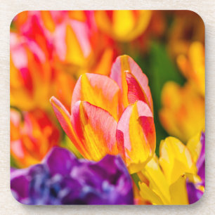 Tulpen die kantelen drankjes onderzetter