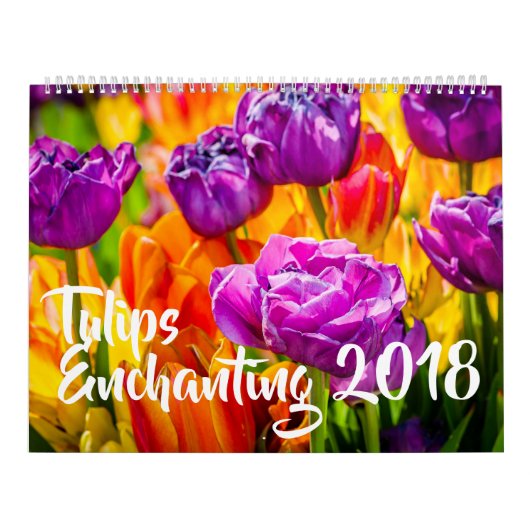 Tulpen die mooi betoveren kalender (Hoes)