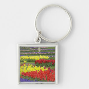 Tulpen, druifhyacint en narcissen, 2 sleutelhanger