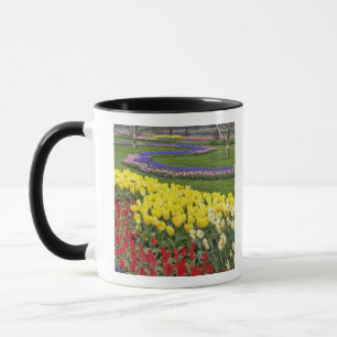 Tulpen, druifhyacinten en narcissen, mok
