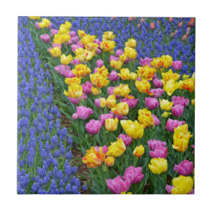 Tulpen en blauw- en bloemknollen tegeltje