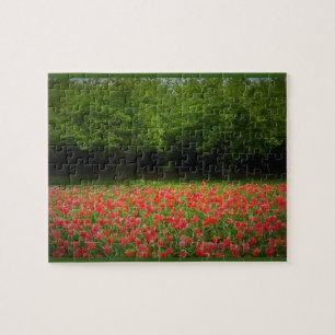 Tulpen en bomen legpuzzel