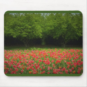 Tulpen en bomen muismat