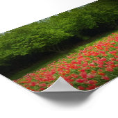 Tulpen en bomen poster (Hoek)