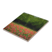 Tulpen en bomen tegeltje (Zijkant)