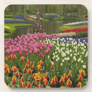 Tulpen- en hyacinten tuin, Keukenhof, Bier Onderzetter