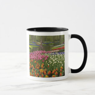 Tulpen- en hyacinten tuin, Keukenhof, Mok