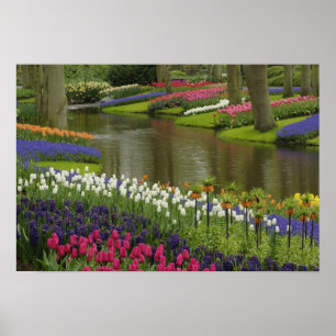 Tulpen- en hyacinten tuin, Keukenhof tuinen, 2 Poster