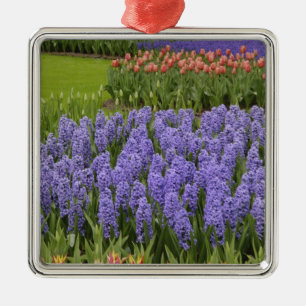 Tulpen- en hyacinten tuin, Keukenhof tuinen, Metalen Ornament