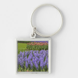 Tulpen- en hyacinten tuin, Keukenhof tuinen, Sleutelhanger