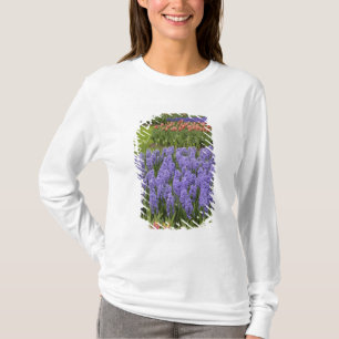 Tulpen- en hyacinten tuin, Keukenhof tuinen, T-shirt