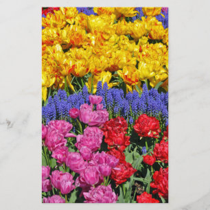 Tulpen en muscari-bloemen
