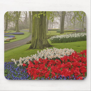 Tulpen en narcissen, Keukenhof tuinen, Muismat