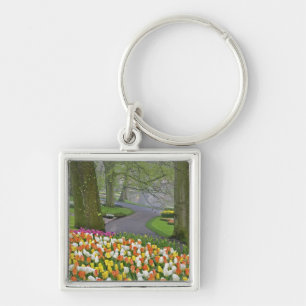 Tulpen en weg, Keukenhof tuinen, Lisse, Sleutelhanger