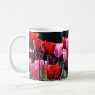 Tulpen foto Mok