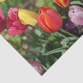 Tulpen Foto Tissuepapier (Detail)