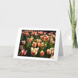 tulpen galore feestdagen kaart