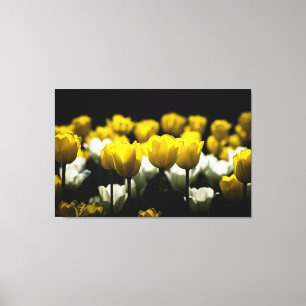 Tulpen geel en wit canvas afdruk