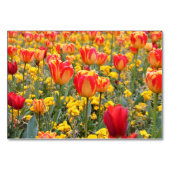 Tulpen, helder en kleurrijk geel en rood kaart (Voorkant)