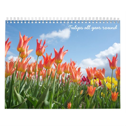 Tulpen het hele jaar door rond de kalender (Hoes)